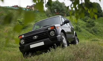 9229351_400